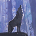 Avatar du membre